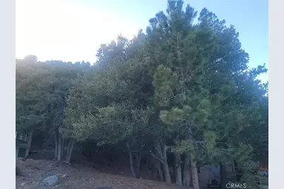 0 Desert View, Wrightwood, CA 92397 - Photo 5