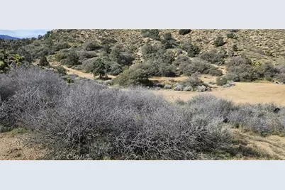 8243 Simson Rd, Pinon Hills, CA 92372 - Photo 19