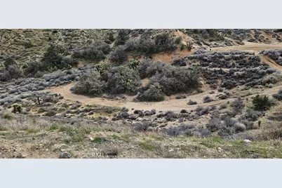 8243 Simson Rd, Pinon Hills, CA 92372 - Photo 23