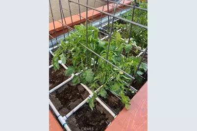 10972 Admirals Bay, Victorville, CA 92392 - Photo 9