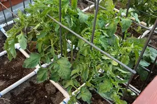 10972 Admirals Bay, Victorville, CA 92392 - Photo 9