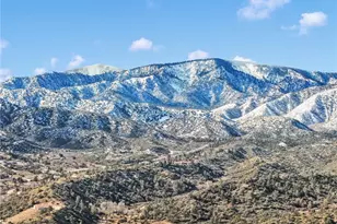 8322 Lebec Rd, Pinon Hills, CA 92372 - Photo 47