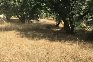 30481 Live Oak, Running Springs, CA 92382 - Photo 1