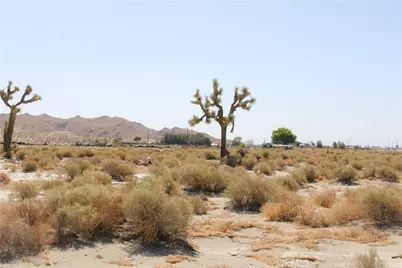 4 Ac Markham Avenue, El Mirage, CA 92301 - Photo 9