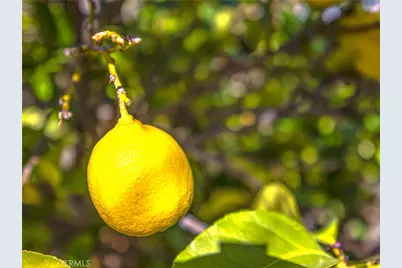14068 Gold Street, Hesperia, CA 92344 - Photo 49
