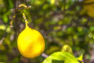 14068 Gold St, Hesperia, CA 92344 - Photo 49