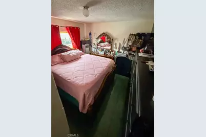 235 E 87th Street, Los Angeles, CA 90003 - Photo 13