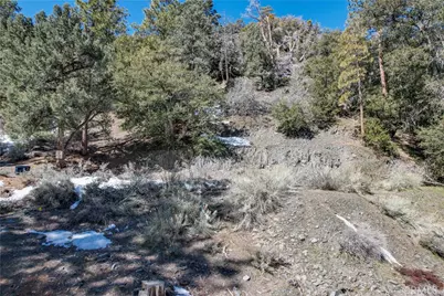 1772 Ash, Wrightwood, CA 92397 - Photo 7