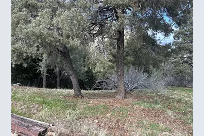 0 Orchard, Wrightwood, CA 92397 - Photo 1