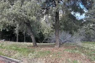 0 Orchard, Wrightwood, CA 92397 - Photo 1