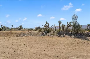 1237 Mono, Pinon Hills, CA 92372 - Photo 43