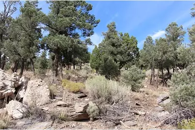 0 Lakeview Drive, Big Bear City, CA 92314 - Photo 3