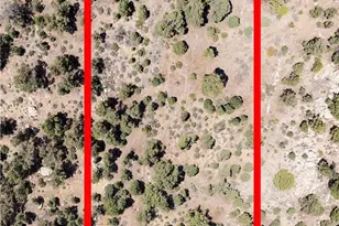 0 Lakeview Dr, Big Bear City, CA 92314 - Photo 1