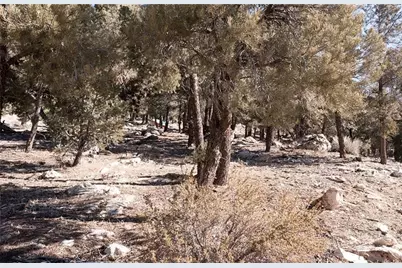 0 Lakeview Drive, Big Bear City, CA 92314 - Photo 11