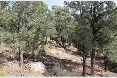 0 Lakeview Drive, Big Bear City, CA 92314 - Photo 9