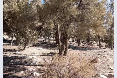 0 Lakeview Drive, Big Bear City, CA 92314 - Photo 19