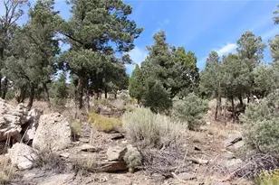 0 Lakeview Dr, Big Bear City, CA 92314 - Photo 1