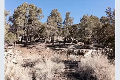 0 Lakeview Drive, Big Bear City, CA 92314 - Photo 1