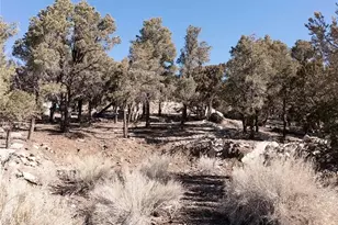 0 Lakeview Dr, Big Bear City, CA 92314 - Photo 1