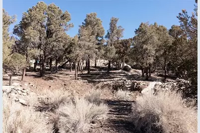 0 Lakeview Drive, Big Bear City, CA 92314 - Photo 15