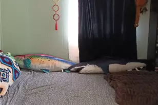 2100 Soapmine Road, Barstow, CA 92311 - Photo 17