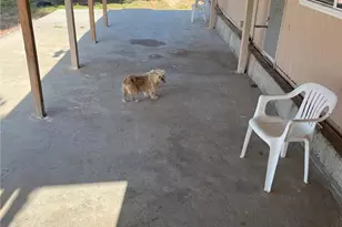 6677 Snow Line, Phelan, CA 92371 - Photo 31