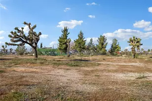 2826 Marco, Phelan, CA 92371 - Photo 29