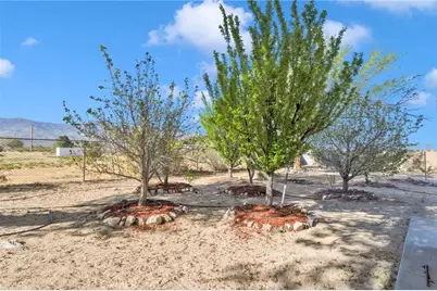 10298 Custer Avenue, Lucerne Valley, CA 92356 - Photo 53