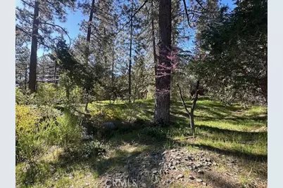 1725 Twin Lakes, Wrightwood, CA 92397 - Photo 3