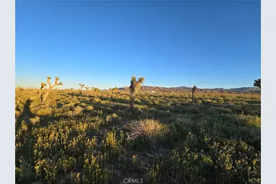 55 Japatul Road, Apple Valley, CA 92308 - Photo 5