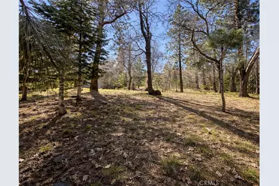 0 Oriole Road, Wrightwood, CA 92397 - Photo 15