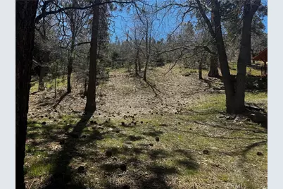 0 Oriole Road, Wrightwood, CA 92397 - Photo 11