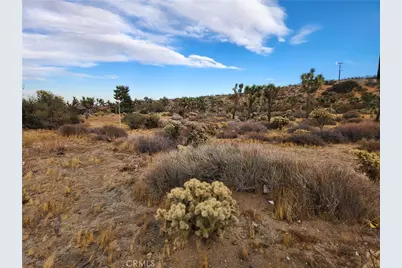 164 Lot Joshua Lane, Yucca Valley, CA 92284 - Photo 13
