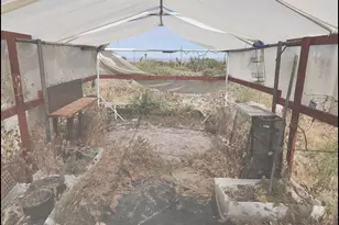 10685 Crystal Air, Pinon Hills, CA 92372 - Photo 47