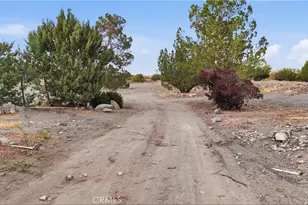 3038 White Fox Trail, Phelan, CA 92371 - Photo 37