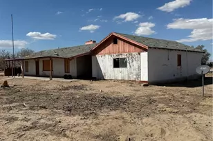 45334 Yermo Rd, Newberry Springs, CA 92365 - Photo 3