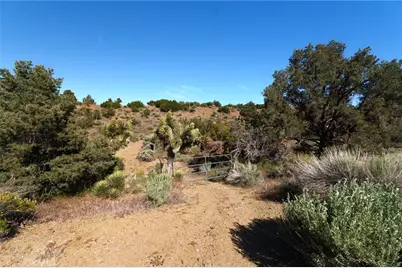 0 Silver Rock, Pinon Hills, CA 92372 - Photo 9