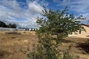 9995 Smoke Tree, Hesperia, CA 92344 - Photo 37