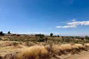 0 Ailanthus, Phelan, CA 92371 - Photo 1