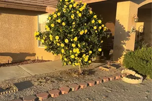 11025 El Esteban, Phelan, CA 92371 - Photo 7