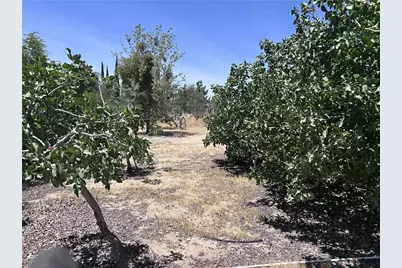 15000 Genesee, Apple Valley, CA 92307 - Photo 17