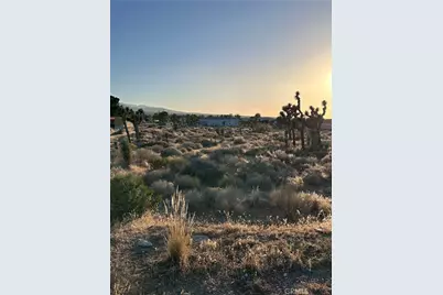 11561 Buena Vista, Pinon Hills, CA 92372 - Photo 17