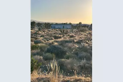 11561 Buena Vista, Pinon Hills, CA 92372 - Photo 19