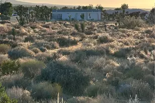 11561 Buena Vista, Pinon Hills, CA 92372 - Photo 19