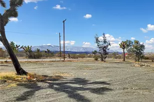2572 Tokay Rd, Phelan, CA 92371 - Photo 53
