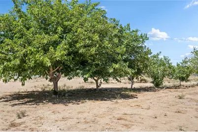 10925 Buttonwood, Phelan, CA 92371 - Photo 39