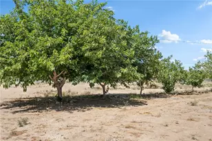 10925 Buttonwood, Phelan, CA 92371 - Photo 39