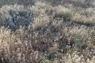 0 Verbina, Adelanto, CA 92301 - Photo 1