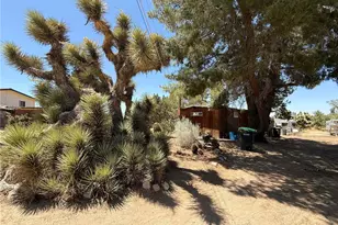 10623 Desert View, Pinon Hills, CA 92372 - Photo 41