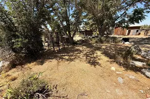 10623 Desert View, Pinon Hills, CA 92372 - Photo 47